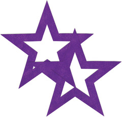 Фиолетовые пестисы-звёзды