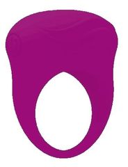 Фиолетовое вибрирующее эрекционное кольцо Bertram
